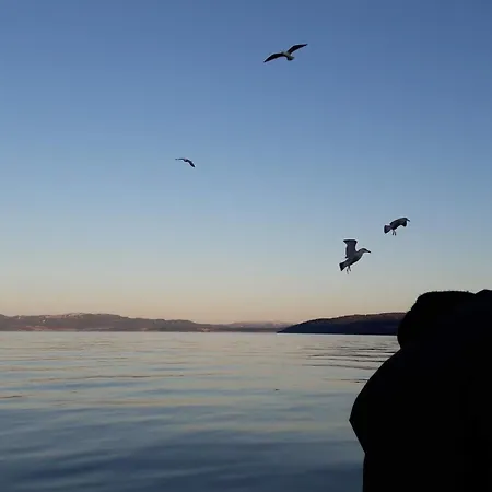 6 Person In * Lensvik